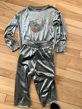 TWo piece Set! Velvet Bird Embroidered Silver Sweatshirt and Pants. Like new.